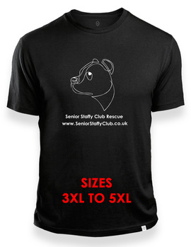 Men's 3XL-5XL White Line Design T-Shirt