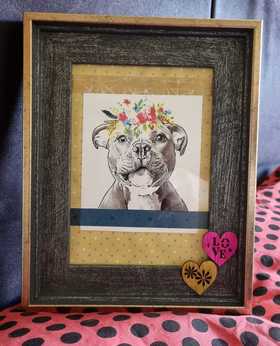 Baby Staffy Picture (Design 4)
