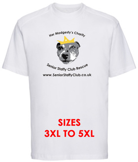 Men's 3XL-5XL Her Madgesty’s Charity T-Shirt